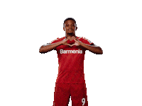 Bayer 04 Love Sticker by Bayer 04 Leverkusen
