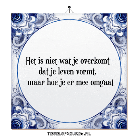 Humor Wijsheid Sticker by Tegelspreuken.nl