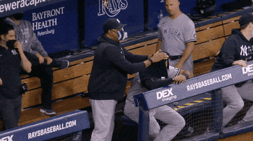 New York Yankees Baseball GIF by Jomboy Media