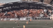 Green Army Csc GIF