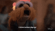Muppets Disney Plus GIF by Disney+