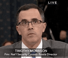 news impeachment impeachment inquiry tim morrison no well GIF