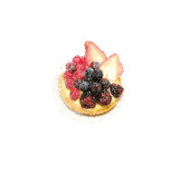 Comolake Sticker by CapricciodiComo