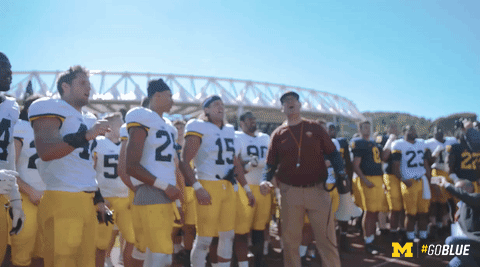 michigan football GIF by Michigan Athletics