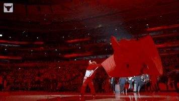Benny The Bull Sport GIF by Chicago Bulls