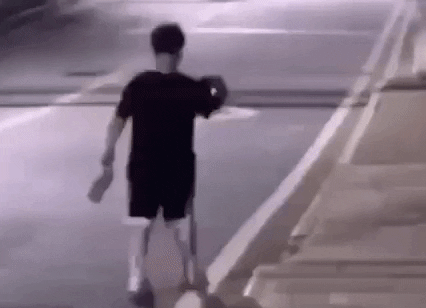 videosgifs giphyupload GIF