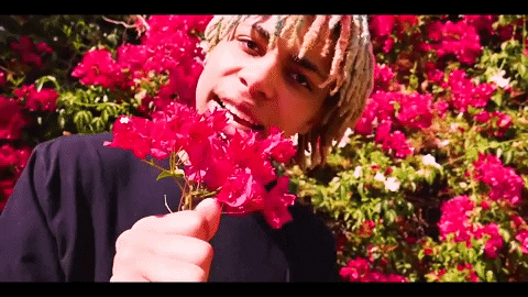 Flowers Yes GIF by iLOVEFRiDAY
