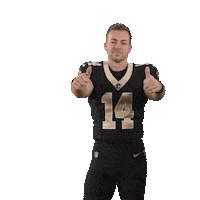 Nfl Football Sticker by New Orleans Saints