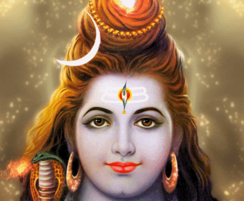 sachinsharmac046 giphyupload GIF