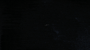 Agents Of Shield Marvel GIF by ABC Network