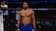 ufc 213 GIF