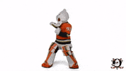 Wild Wing Fighting GIF by Anaheim Ducks