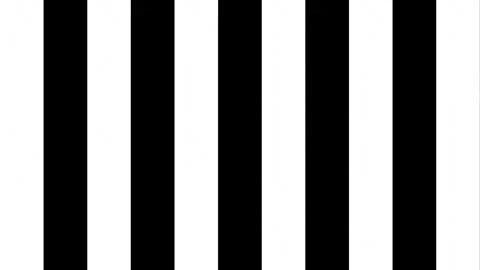 Dance Love GIF by SK Sturm Graz