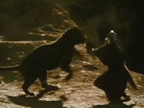 the beastmaster mauling GIF