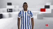 Hertha Bsc Love GIF by Bundesliga