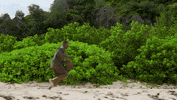Challenge Running GIF by Survivor CBS