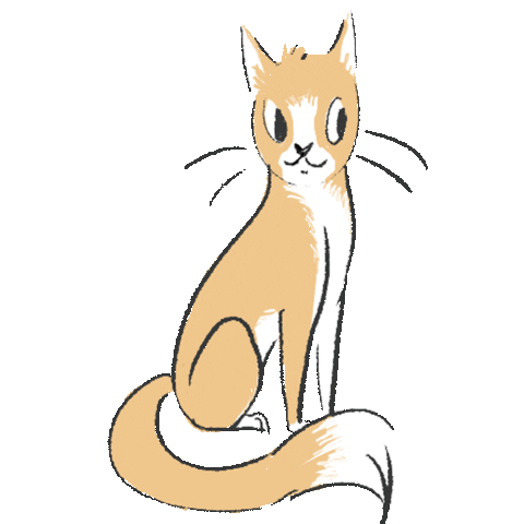 brigidmalloy giphyupload cat kitty feline Sticker