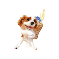 Dogs Love Sticker