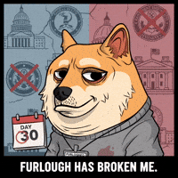 Tired Shiba Inu GIF by Doge Pound