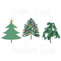 Text Lettering Sticker