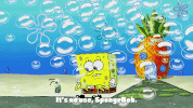 episode 5 spongebob's place GIF by SpongeBob SquarePants