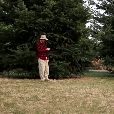 Confused Over It GIF by Four Rest Films
