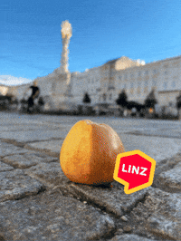 Vegan Omg GIF by Linz News