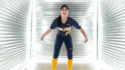 Rocket Softball GIF by Toledo Rockets