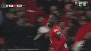 football celebration GIF by Standard de Liège