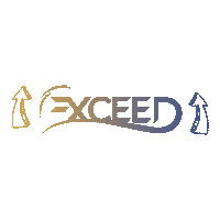 Exceed Wedding Sticker by Exceed Events