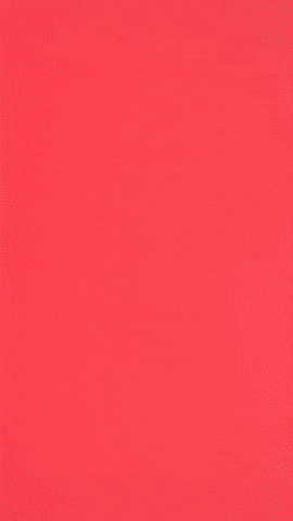 Plushie GIF by Youtooz