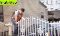 fbi GIF