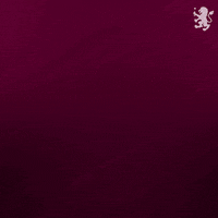 Happy Premier League GIF by Aston Villa FC