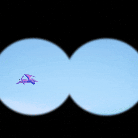 Exploring Wild Life GIF by Claynosaurz