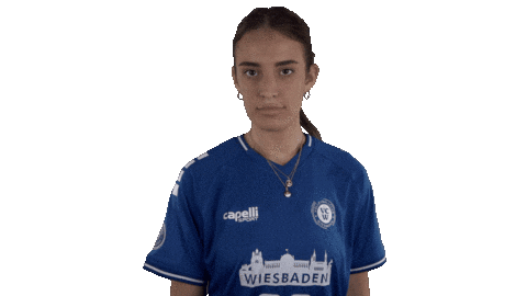Vcw Sticker by Volleyball Bundesliga