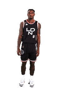 thelondonlions basketball london pose lions Sticker