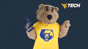 West Virginia Win GIF by WVU Tech Golden Bears