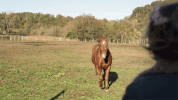 GIF by Nashville on CMT