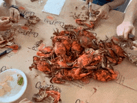 Seafood Crabs GIF by The Crab Place