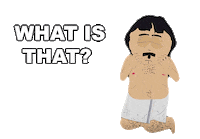 What Is It Wtf Sticker by South Park
