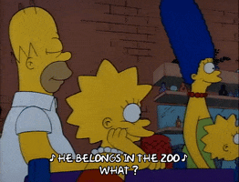 Season 1 Episode 6 GIF by The Simpsons