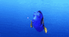 finding nemo pixar gif GIF by Disney Pixar