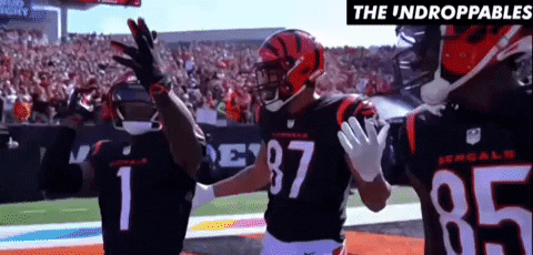 Bengal Tiger Nfl GIF by The Undroppables