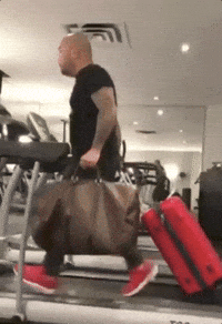 toferra melero family GIF