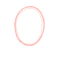 lorakeet pink photo frame mirror Sticker