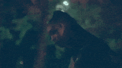 girls need love GIF by Summer Walker