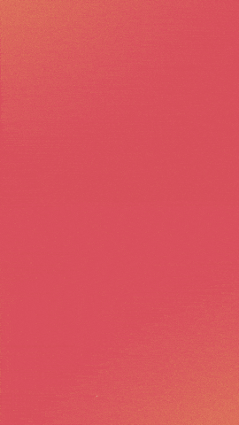 Bald Eagle GIF