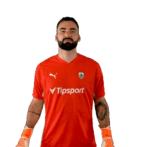 Football Soccer Sticker by Nike liga