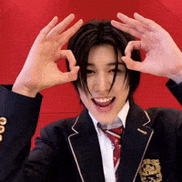 Louis Funny GIF