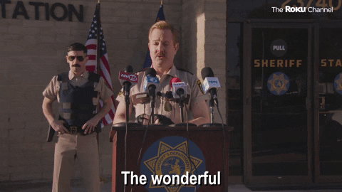 Reno 911 GIF by The Roku Channel